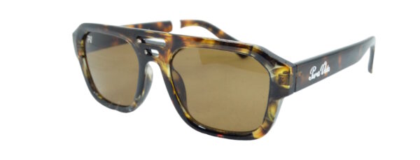 P150 ROBERT TORTOISE
