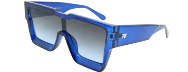P170-2 DEREK BLUE